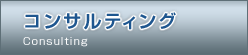 コンサルティング Consulting